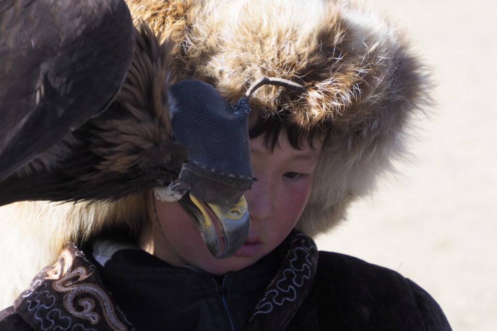 Capturing the Majesty: A Photographer’s Guide to the Golden Eagle Festival