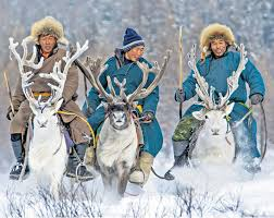 Reindeer Herders