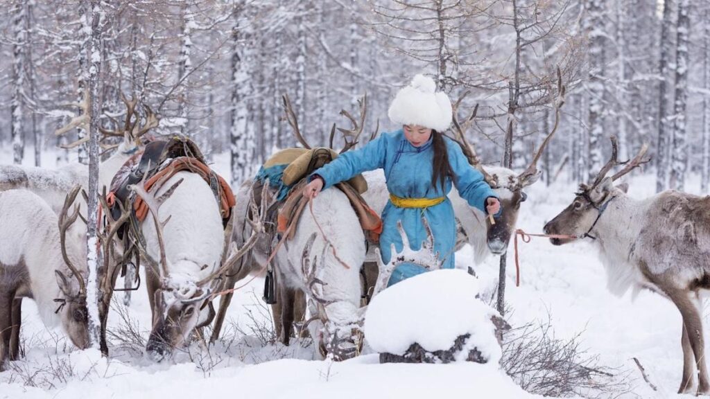 Tsaatan Reindeer Herders Homestay