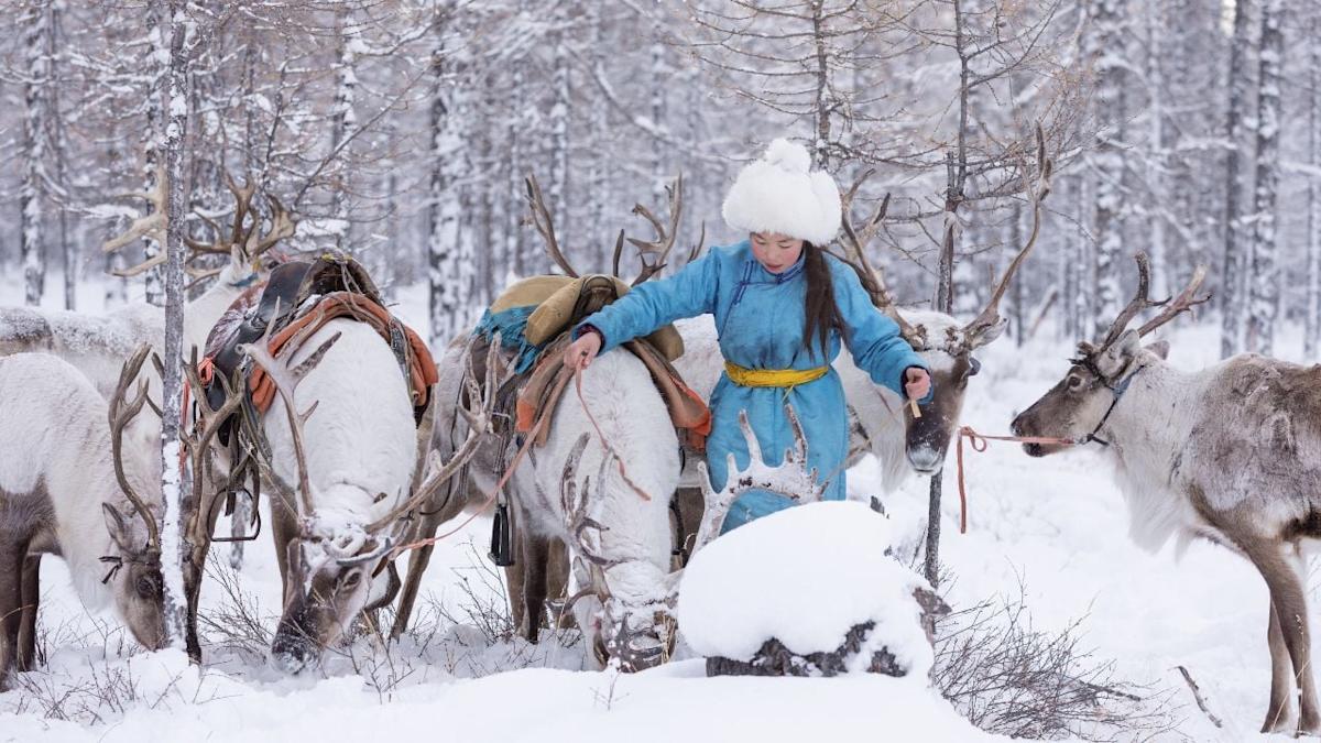 Tsaatan Reindeer Herders Homestay