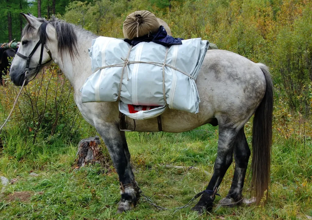 The Ultimate Guide to a Mongolian Taiga Horse Trek