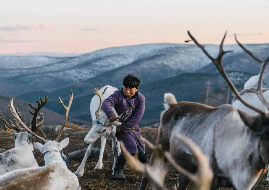 Visiting the Tsaatan Reindeer Herders in Winter: What It’s Really Like